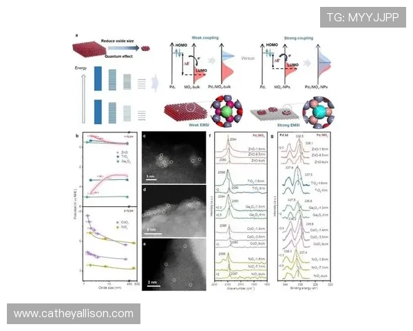 PT电子构型在催化剂设计中的关键作用与调控方法