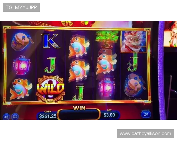 最新老虎机手机版下载单机版，轻松安装无需联网即可畅玩