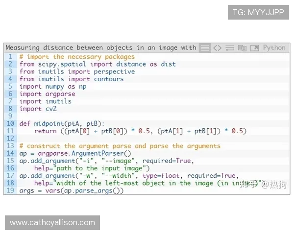 麻将糊了2源码版本更新内容与未来发展方向