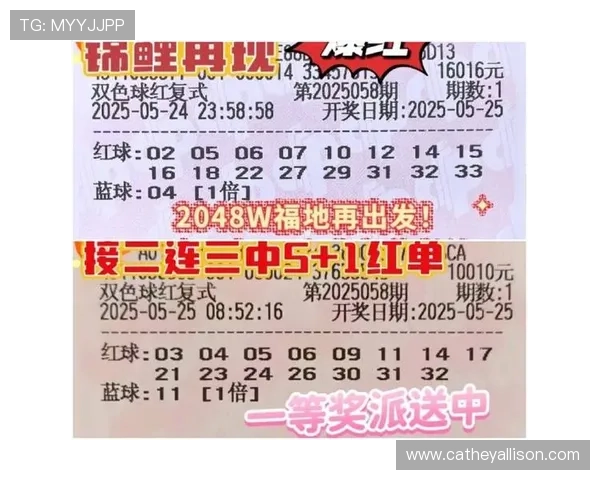 恶魔老虎机正式版怎么玩才能通过合理的投注策略实现稳定盈利的实用技巧